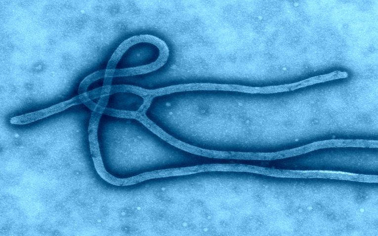 data mining in ebola outbreak