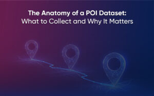 Anatomy-of-POI-Dataset-Thumbnail