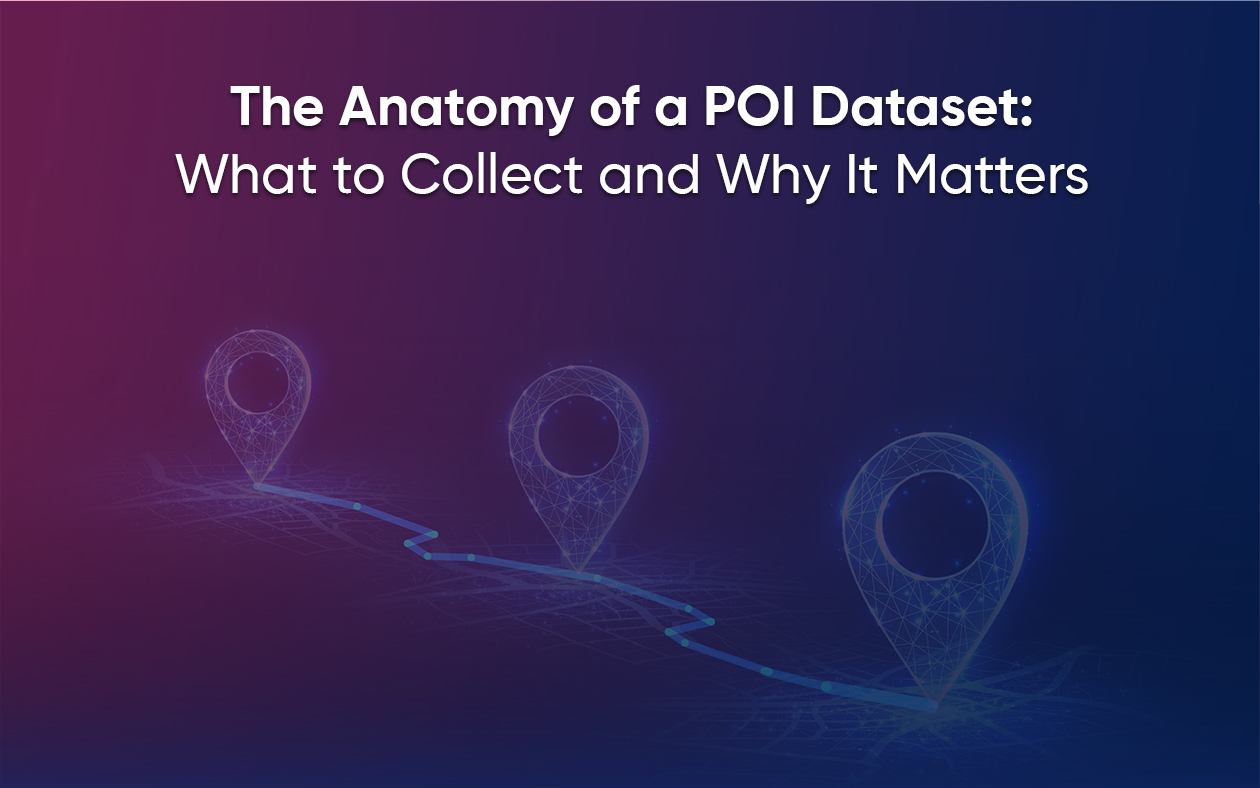 Anatomy-of-POI-Dataset-Thumbnail