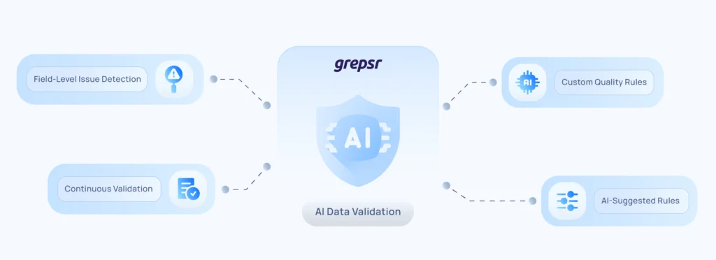 ai data validation feature