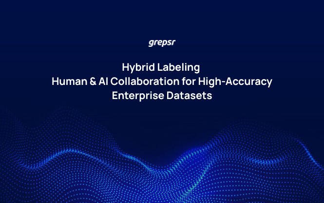 Hybrid Labeling: Human & AI Collaboration for High-Accuracy Enterprise Datasets
