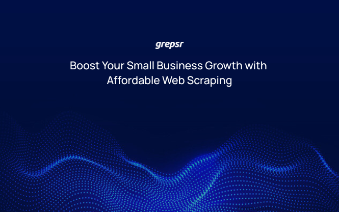 Boost Your Small Business Growth with Affordable Web Scraping