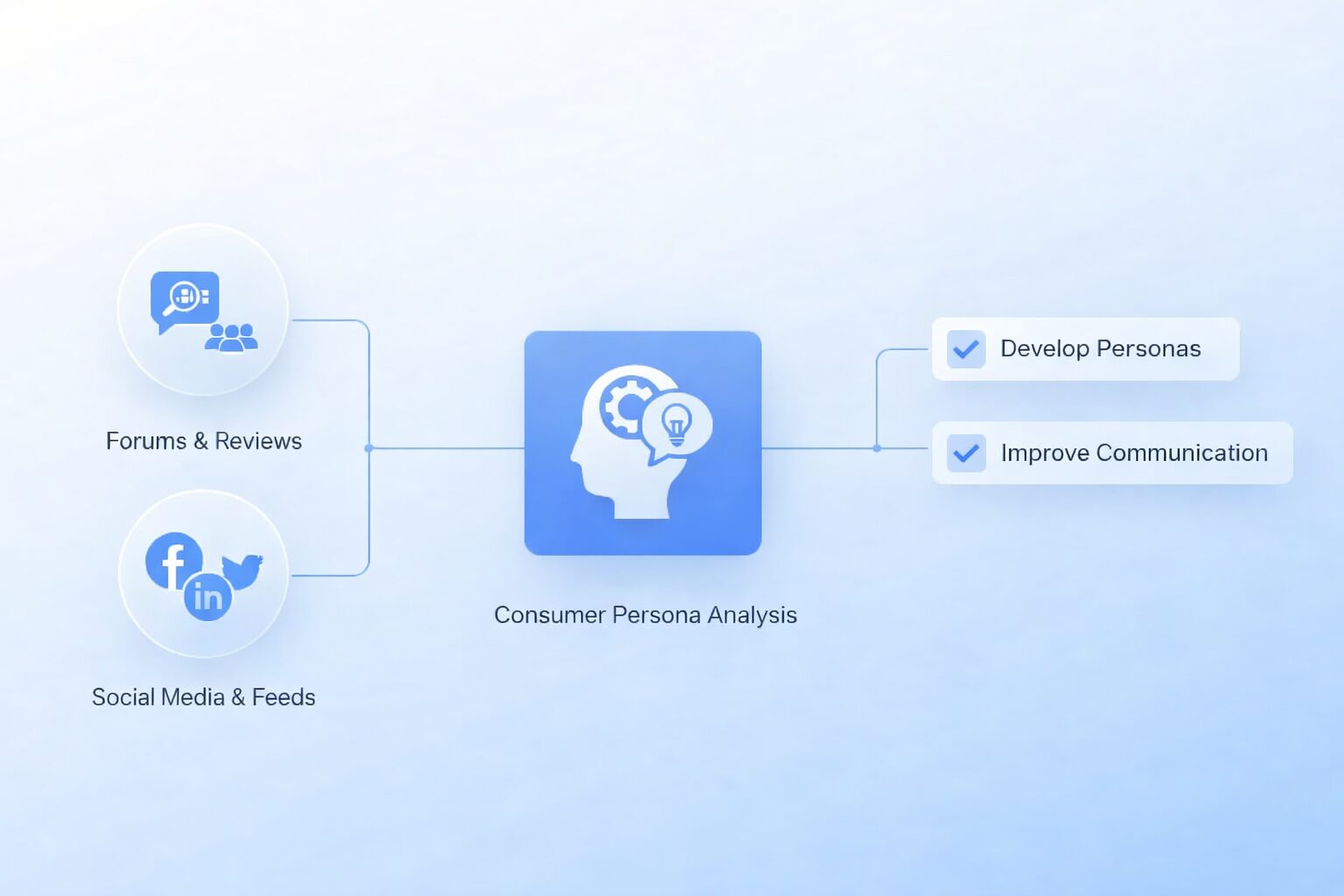 Consumer Insight & Persona Development Overview